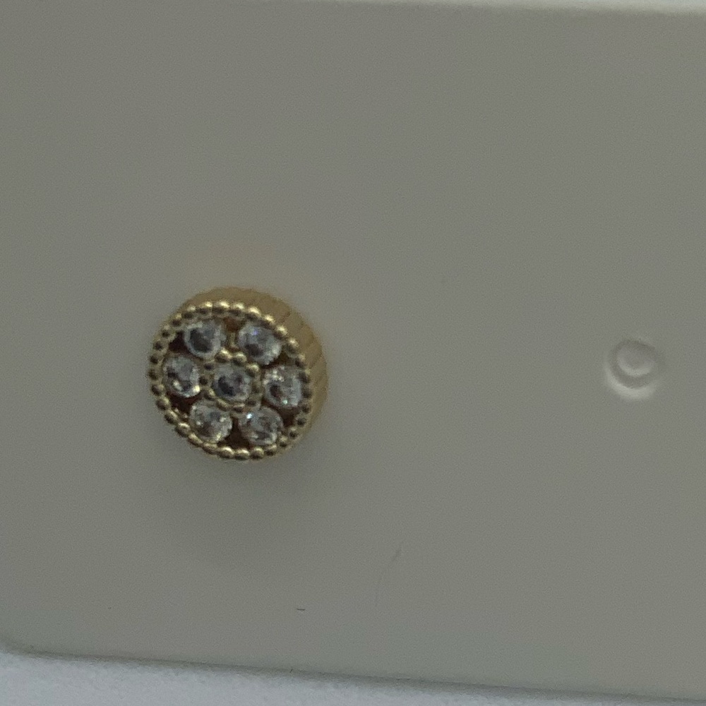 Gold and Silver Stud Earrings